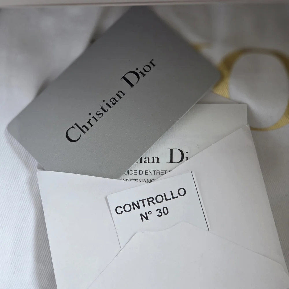 ✨Lady Dior x Andy Warhol Stiletto Motif – Christian Dior Collector Piece✨
